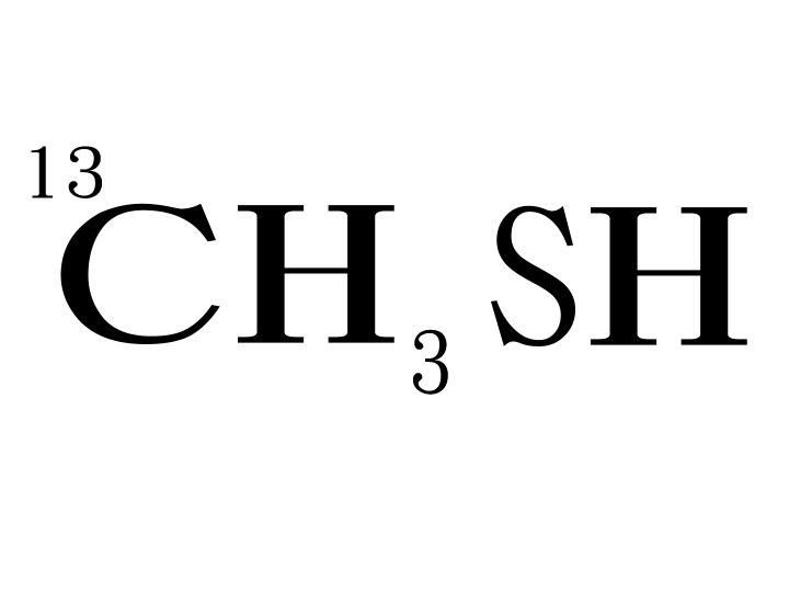 Methanethiol13C